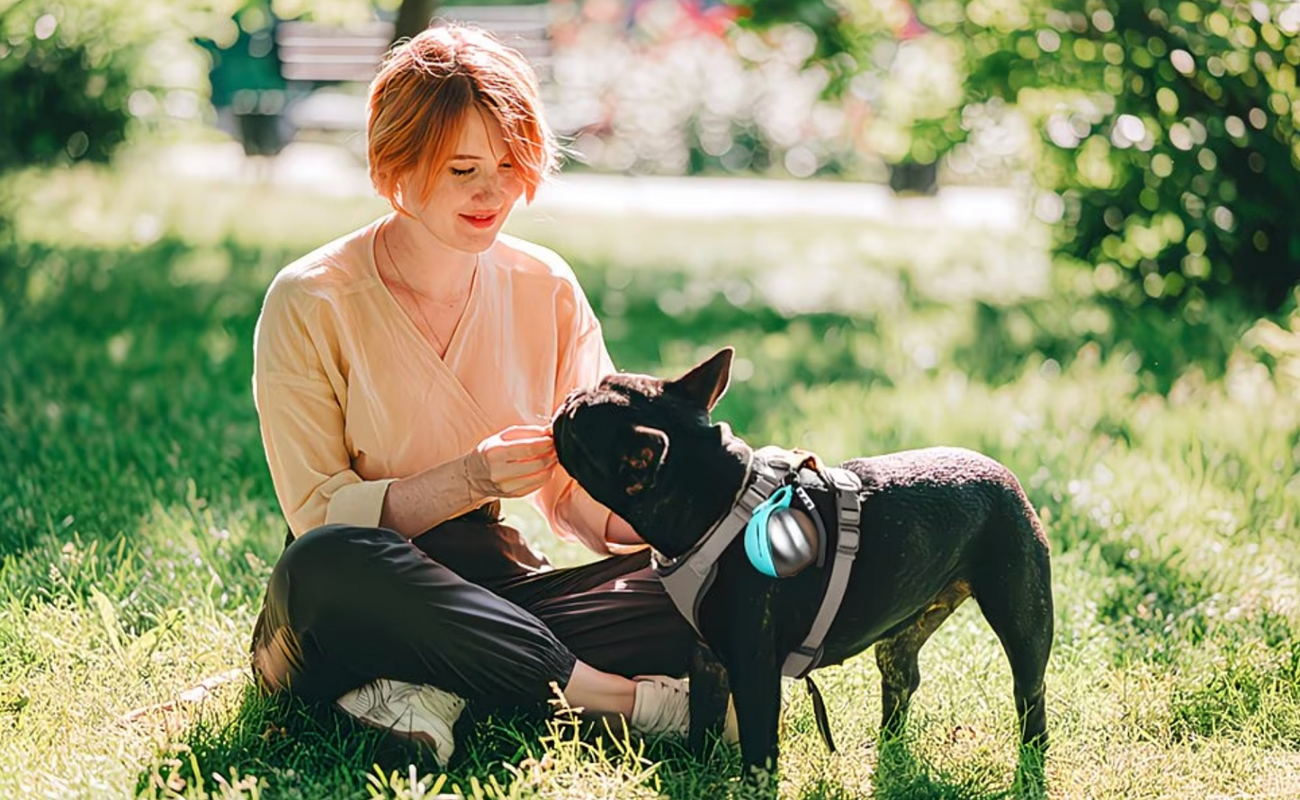 2-in-1 Hunde Trinkflasche mit integriertem Napf