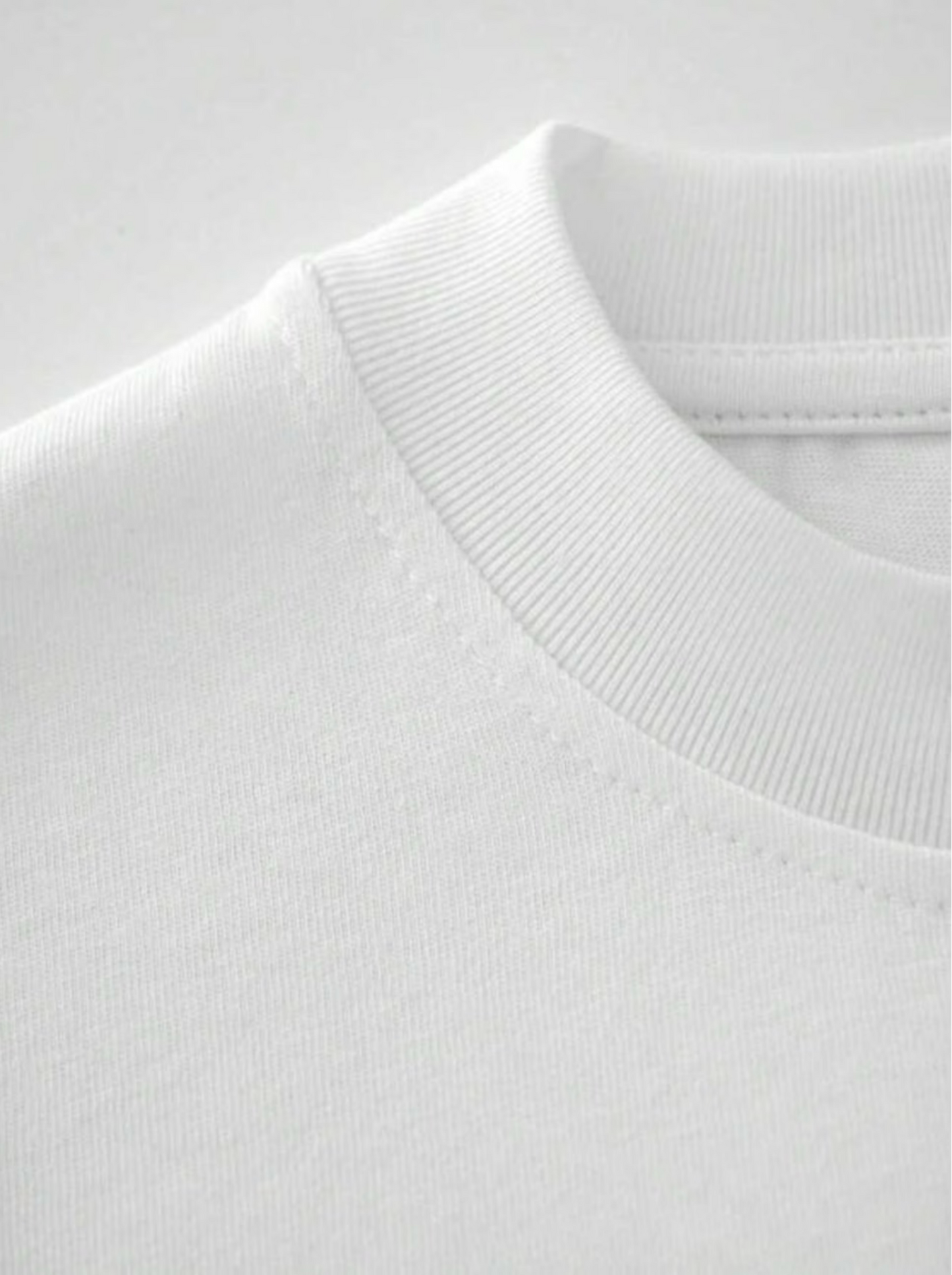 Herren T-Shirt – „VENI VIDI VICI“