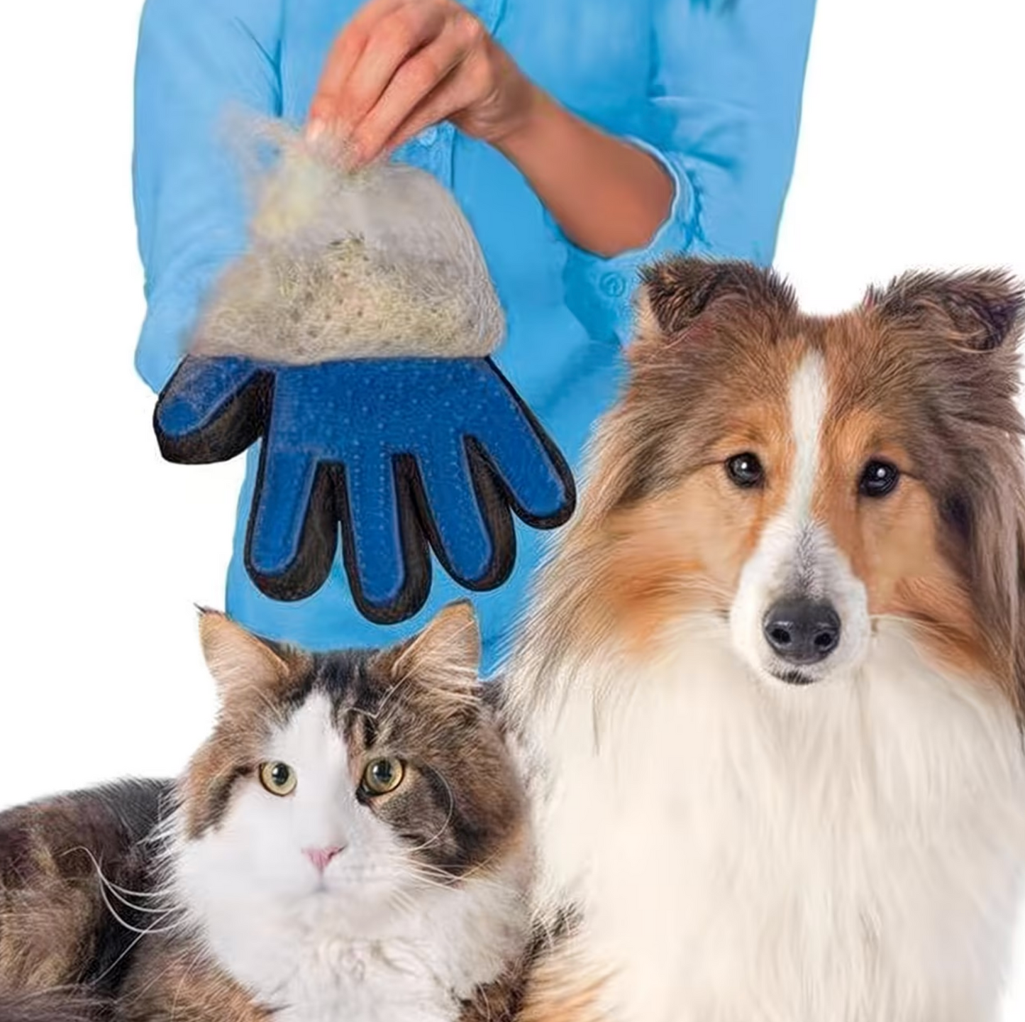 Fellpflege-Handschuh für Hunde & Katzen